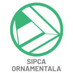 Scara pod TMP cu sipca ornamentala inclusa